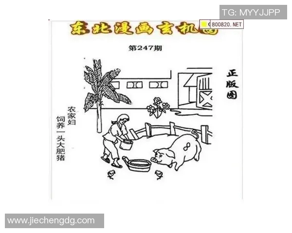 山东真人字谜第3d16139期解析与解答探秘，揭示谜底背后的故事与技巧