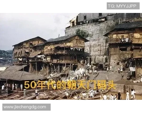 探索古今真人259期的深度与广度，揭示历史与现代的交汇点与文化传承之美