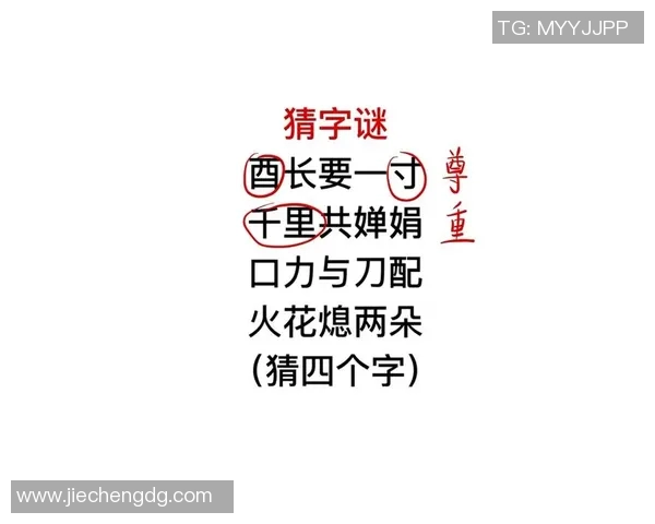 文庙真人解字谜全书探秘字谜文化的魅力与智慧